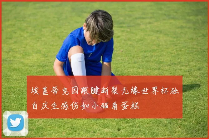埃基蒂克因跟腱断裂无缘世界杯独自庆生感伤如小猫看蛋糕