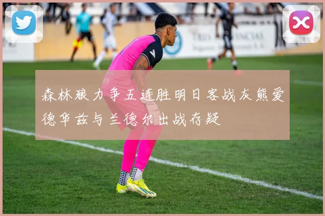 森林狼力争五连胜明日客战灰熊爱德华兹与兰德尔出战存疑