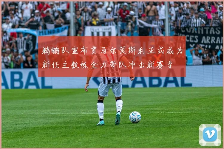 鹈鹕队宣布贾马尔莫斯利正式成为新任主教练全力带队冲击新赛季